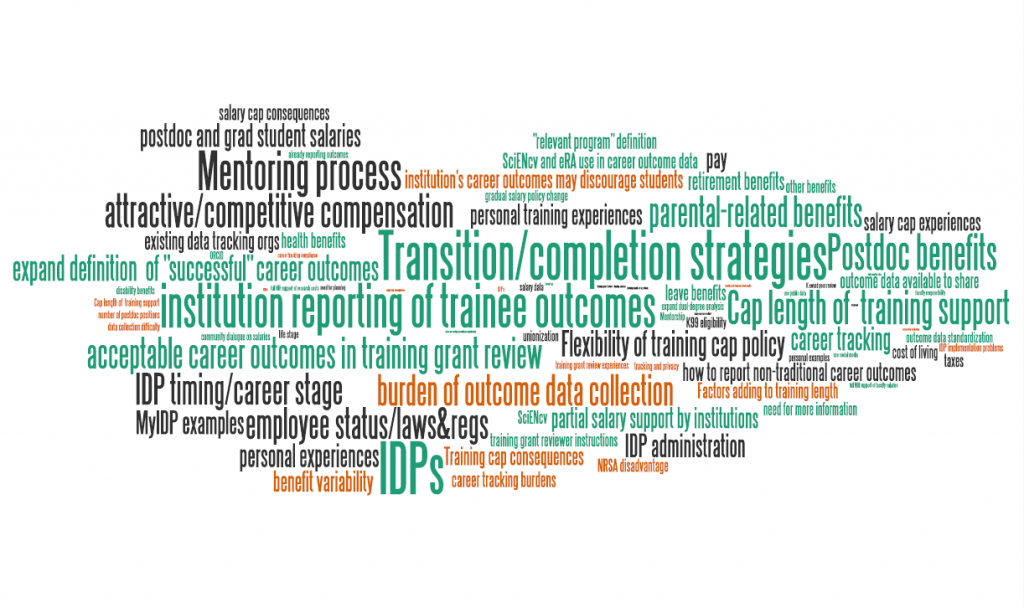 Access the data and text used to generate this graphic at http://nexus.od.nih.gov/all/wp-content/uploads/2013/08/BMW-RFI-word-cloud-data-table.xlsx , and for the full report with narrative summaries, visit the new biomedical research workforce website, biomedicalresearchworkforce.nih.gov