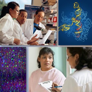 Montage of researchers, neurons, and  a molecular structure