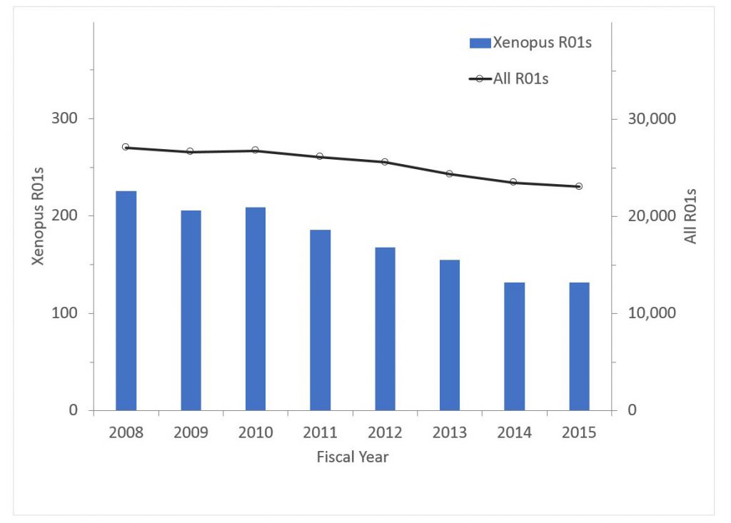 Graph of xenopus R01 awards - data tables are found at the bottom of the RePORT Special reports page: https://report.nih.gov/special_reports_and_current_issues/index.aspx