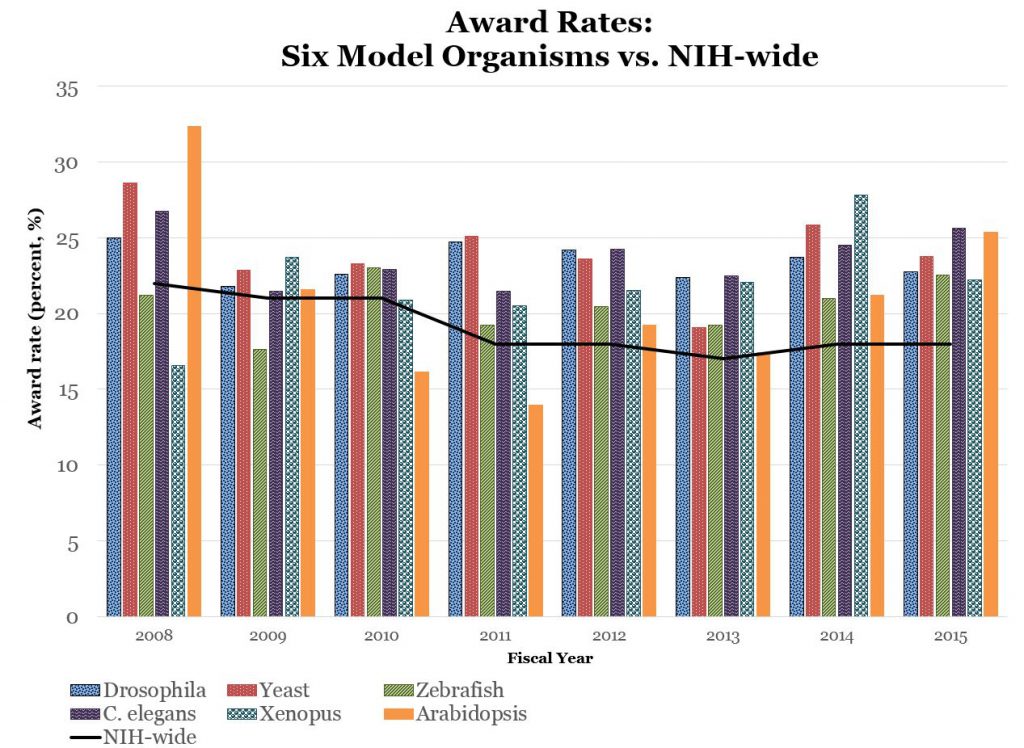 Award Rates: Six Model Organisms vs. NIH-wide. Data tables available at: https://report.nih.gov/special_reports_and_current_issues/index.aspx