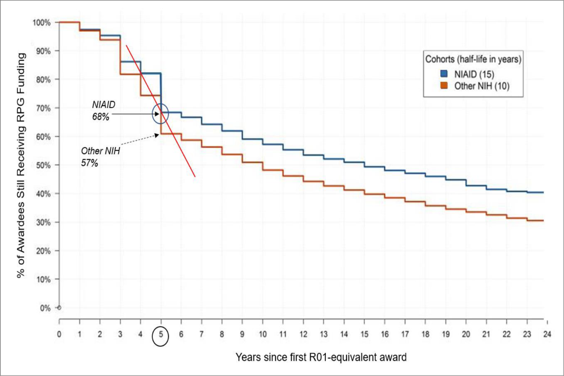 Figure 1 shows a Kaplan–Meier analysis describing the length of time awardees remain in the NIH applicant pool after their first R01 or equivalent Award. The X axis represents the number of years since receiving their first R01 or equivalent award, while the Y axis is the percentage of investigators in each cohort who later received an additional research project grant award. The blue, orange, and red lines represent NIAID awardees, other NIH awardees, and the dropout slope between 4 and 5 years, respectively.