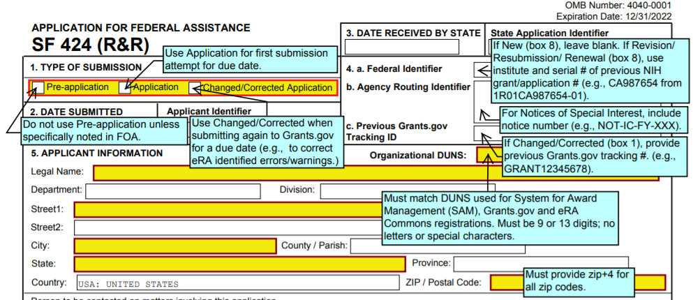 Screenshot of an annotated form