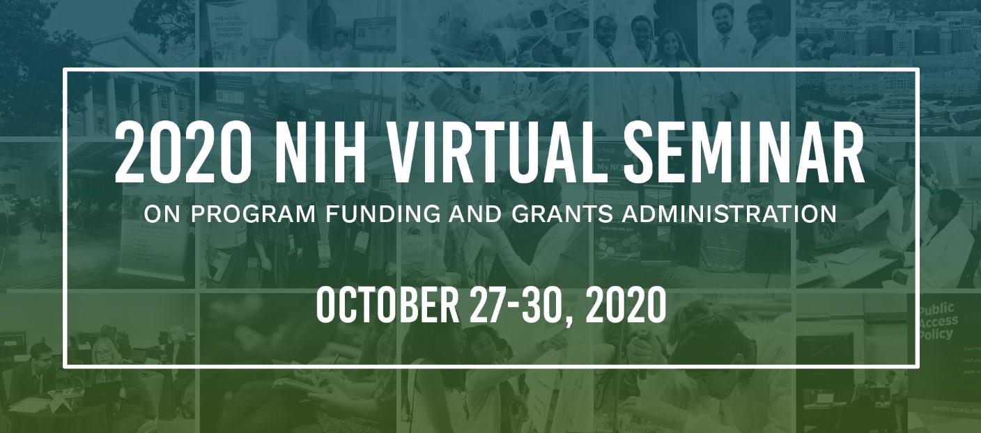 banner for NIH virtual seminar 2020