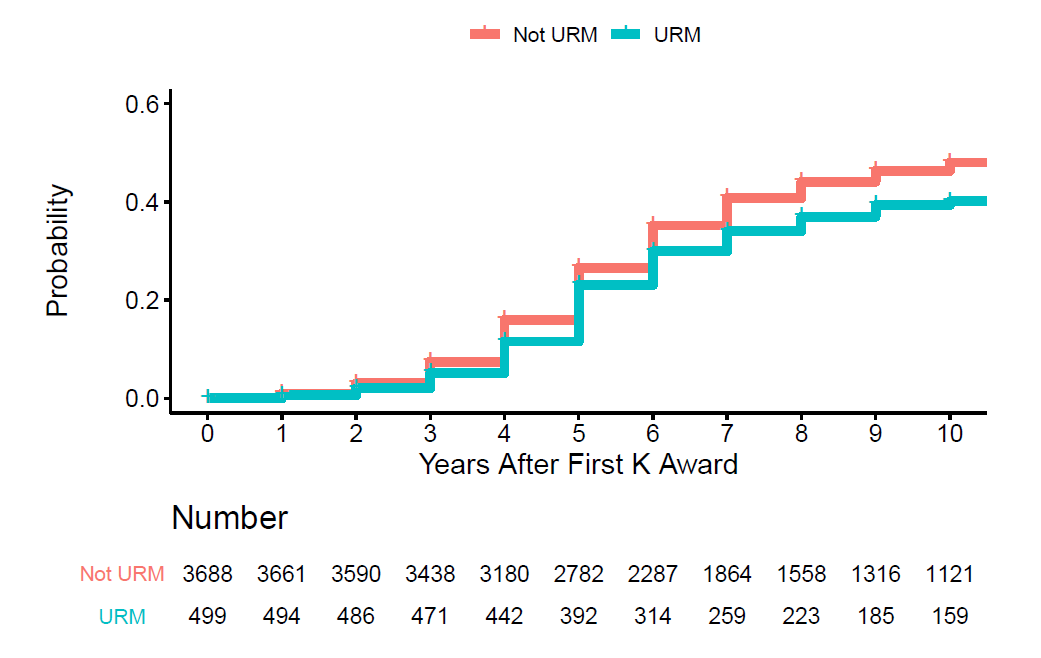 Time to first R01 award from first K award according to under-represented minority (URM) status, x axis= years after first k award (0-10), y axis=probability (0-0.6), Not URM represented by red line, URM represented by blue line